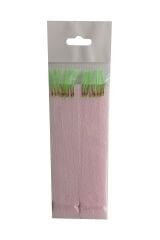 BRC-831*10 İĞNELİ İNCE TAKIM KÖPÜK ÇAPARİ 2 ADET PAKETLERDE