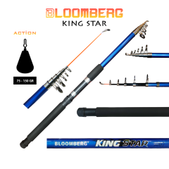Bloomberg Kingstar Tele Kamış 300cm